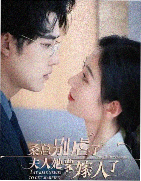 星辰影院在线热播悬疑剧集雾港回声海报