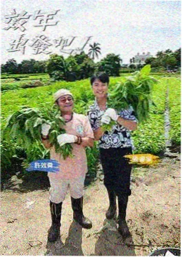 星辰影院在线生活慢综艺民宿慢生活海报